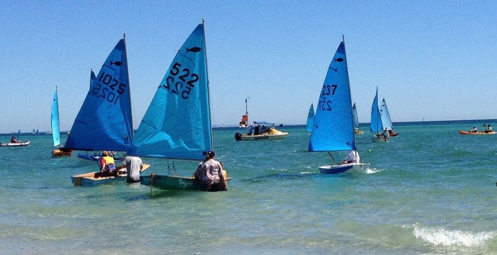 Novice fleet racing close to shore - Victorian Minnow Championship © Jane Moffat
